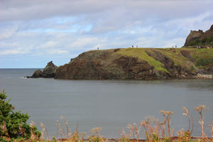 Bottle Cove headland