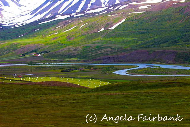 Akureyri, copyright Angela Fairbank