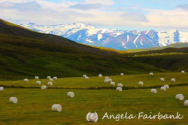 Akureyri, copyright Angela Fairbank