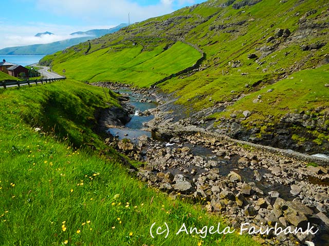 Faroes, copyright Angela Fairbank