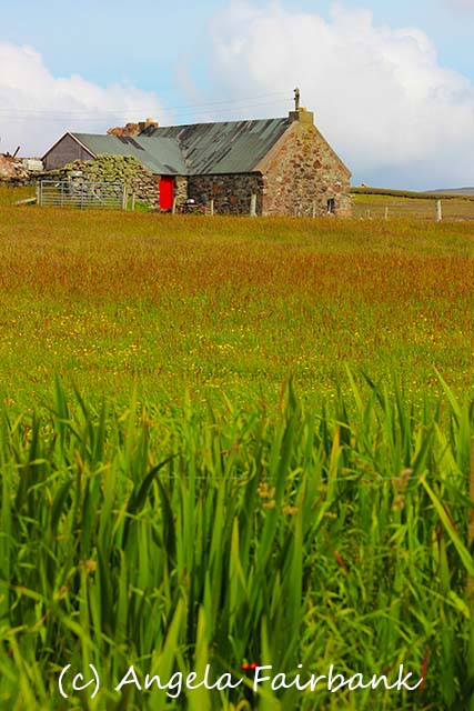 Shetlands, copyright Angela Fairbank