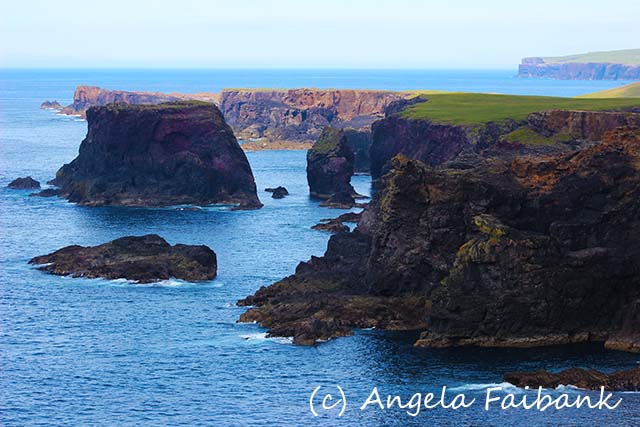 Shetlands, copyright Angela Fairbank