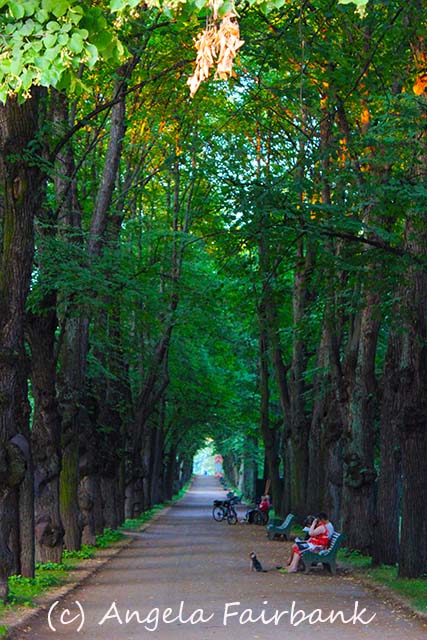 St. Petersburg, copyright Angela Fairbank
