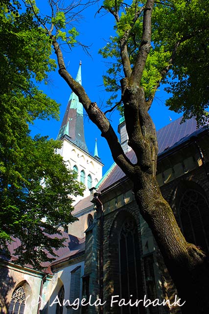 Tallinn, copyright Angela Fairbank