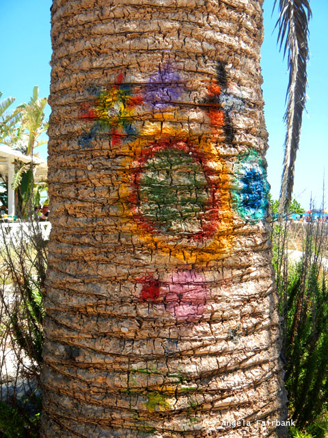 paint on palm tree
