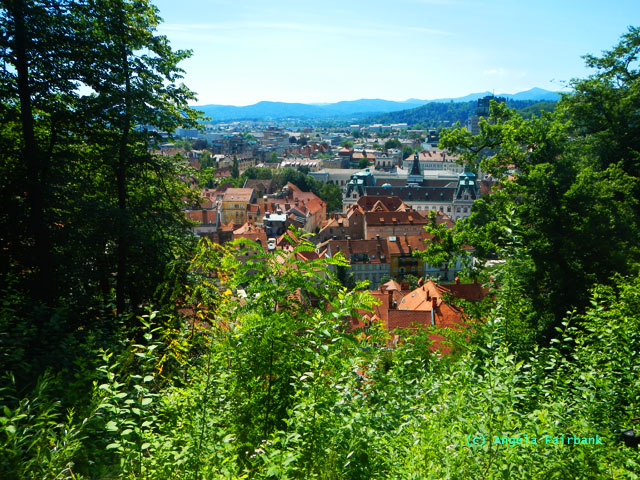 view of town from castle