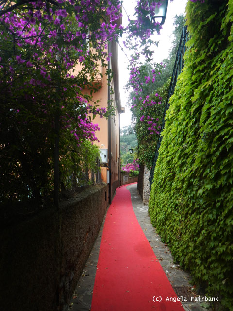 red carpet coming to the end