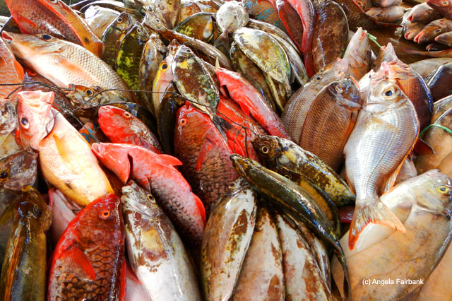 colourful fish at Sir Selwyn Selwyn-Clarke Market, Victoria, Mahe, Seychelles