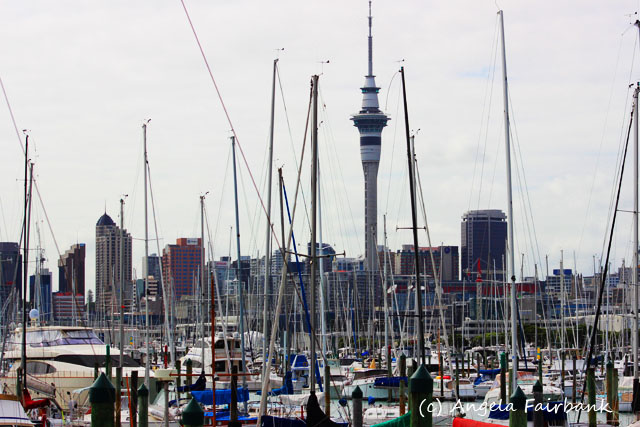 Auckland, New Zealand, copyright Angela Fairbank