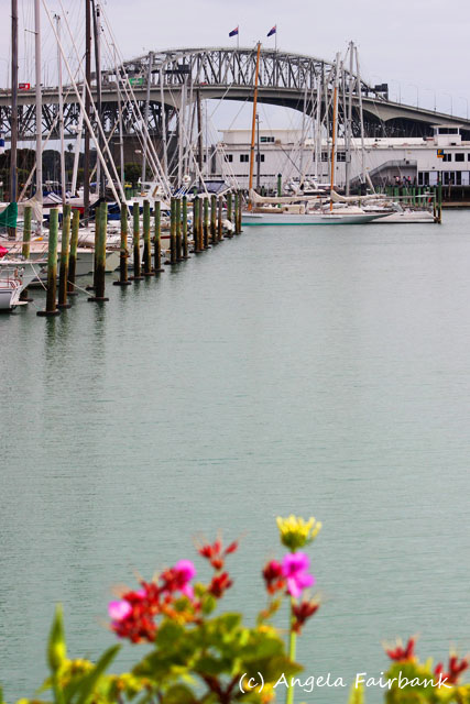 Auckland, New Zealand, copyright Angela Fairbank