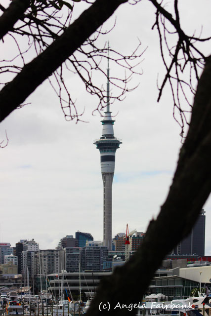 Auckland, New Zealand, copyright Angela Fairbank