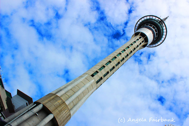 Auckland, New Zealand, copyright Angela Fairbank