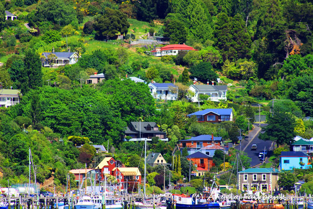 Port Chalmers, New Zealand, copyright Angela Fairbank