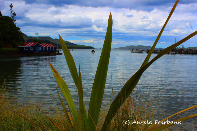 Port Chalmers, New Zealand, copyright Angela Fairbank