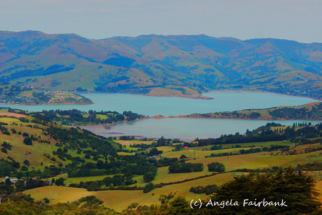 Christchurch, New Zealand, copyright Angela Fairbank