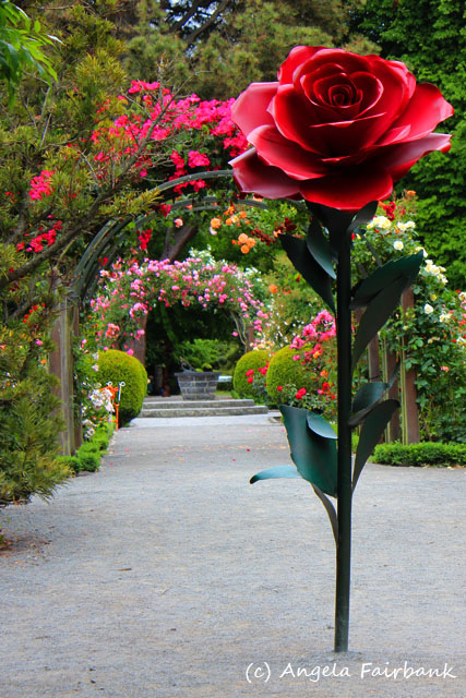 Christchurch, New Zealand, copyright Angela Fairbank