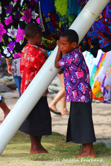 Dravuni Island, Fiji, copyright Angela Fairbank