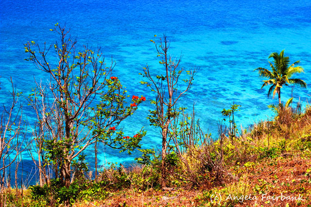 Dravuni Island, Fiji, copyright Angela Fairbank