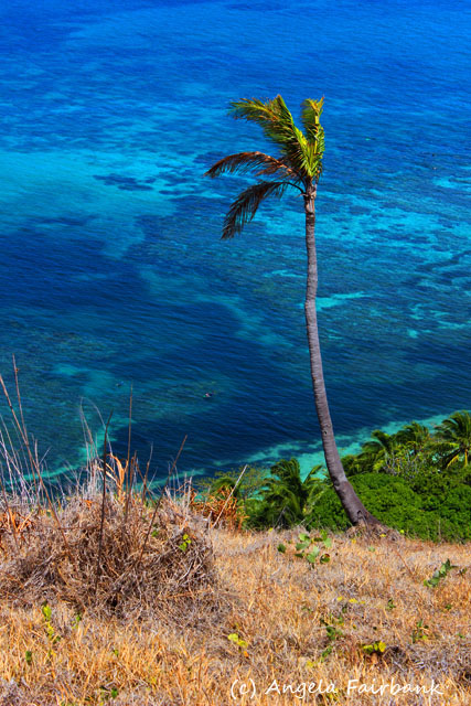 Dravuni Island, Fiji, copyright Angela Fairbank