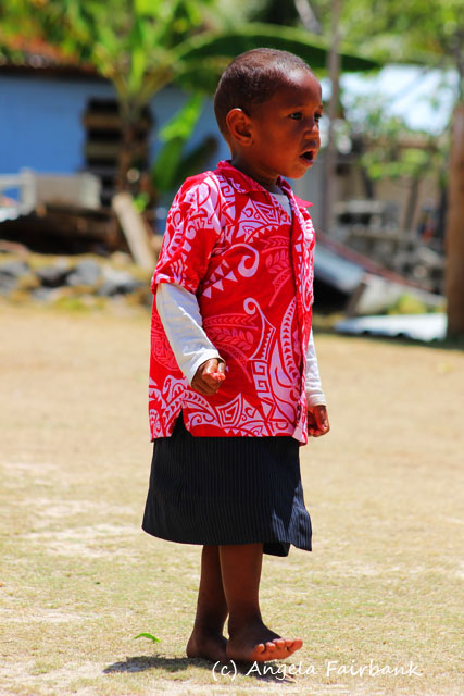Dravuni Island, Fiji, copyright Angela Fairbank