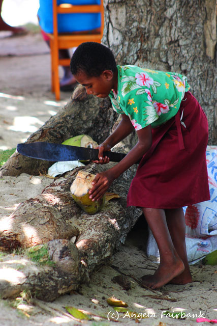Dravuni Island, Fiji, copyright Angela Fairbank