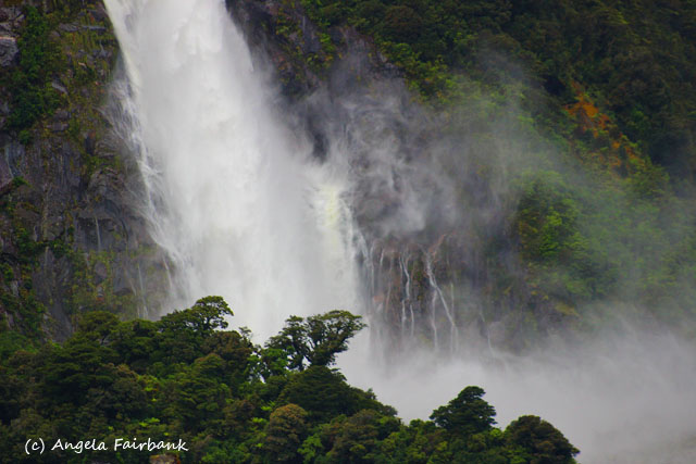 Fiordland National Park, New Zealand, copyright Angela Fairbank