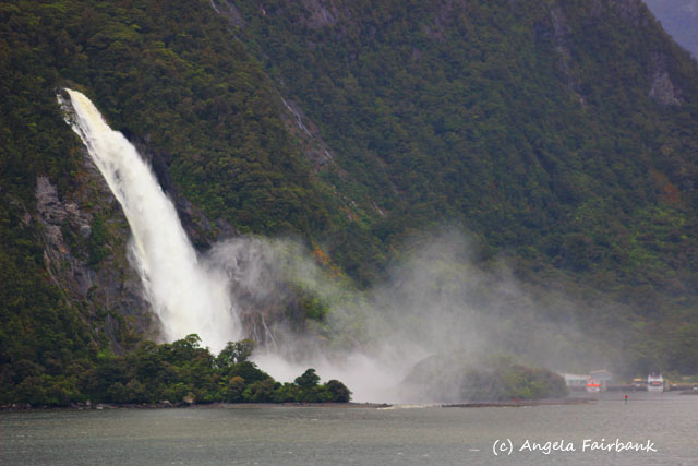 Fiordland National Park, New Zealand, copyright Angela Fairbank