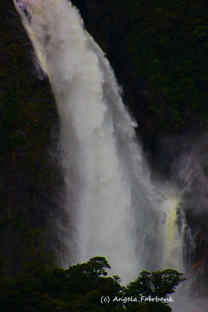 Fiordland National Park, New Zealand, copyright Angela Fairbank