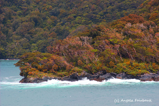 Fiordland National Park, New Zealand, copyright Angela Fairbank