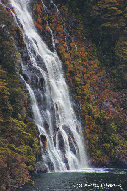Fiordland National Park, New Zealand, copyright Angela Fairbank
