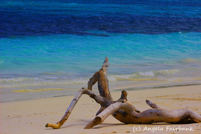 Lifou, New Caledonia, copyright Angela Fairbank