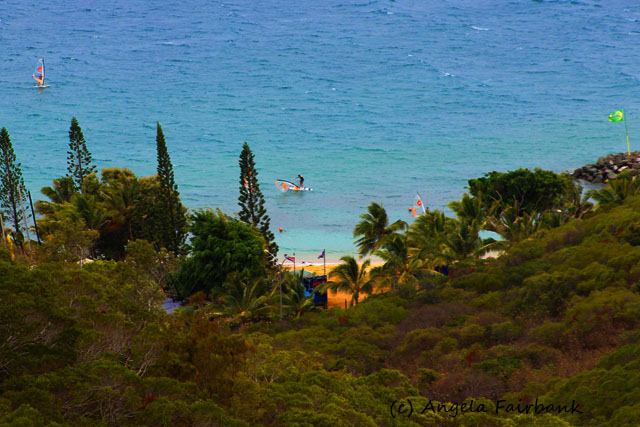 Noumea, New Caledonia, copyright Angela Fairbank