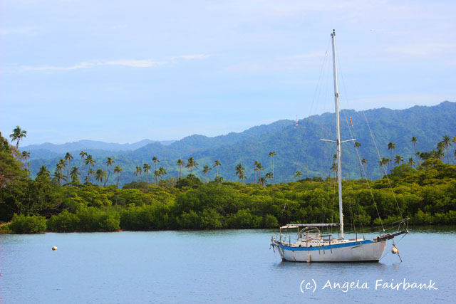 Savusavu, Fiji, copyright Angela Fairbank