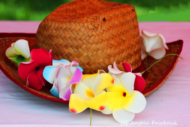 Savusavu, Fiji, copyright Angela Fairbank
