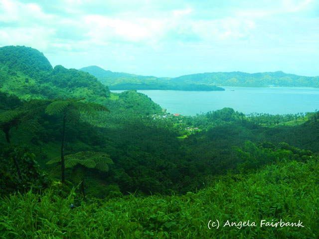 Savusavu, Fiji, copyright Angela Fairbank