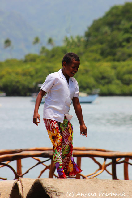 Savusavu, Fiji, copyright Angela Fairbank