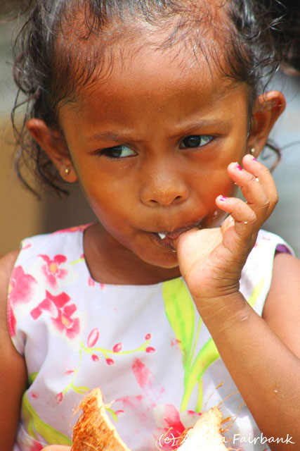 Suva, Fiji, copyright Angela Fairbank
