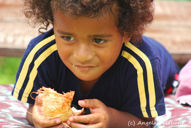 Suva, Fiji, copyright Angela Fairbank
