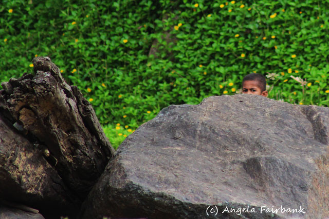 Suva, Fiji, copyright Angela Fairbank