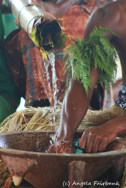 Suva, Fiji, copyright Angela Fairbank