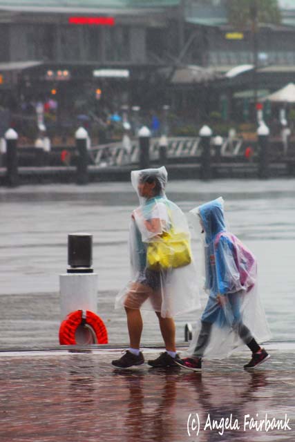 Sydney, Australia, copyright Angela Fairbank