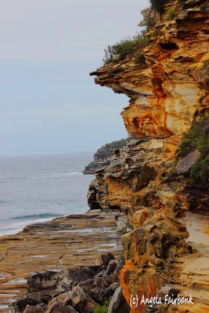 Sydney, Australia, copyright Angela Fairbank