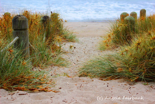 Tauranga, New Zealand, copyright Angela Fairbank