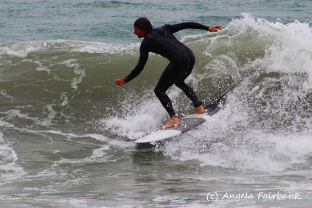 Tauranga, New Zealand, copyright Angela Fairbank