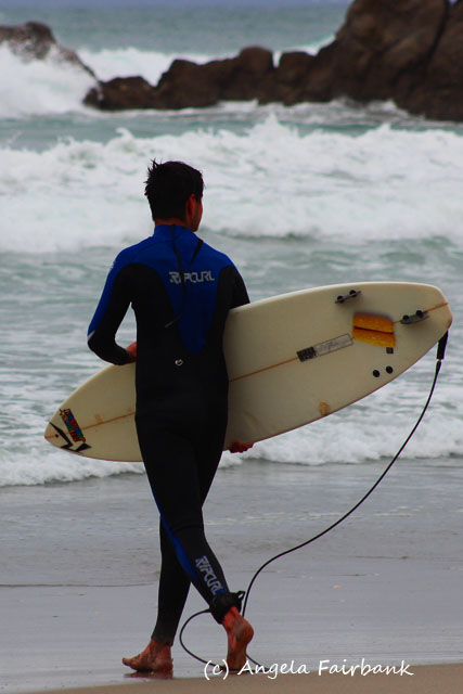 Tauranga, New Zealand, copyright Angela Fairbank