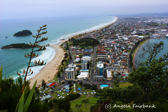 Tauranga, New Zealand, copyright Angela Fairbank