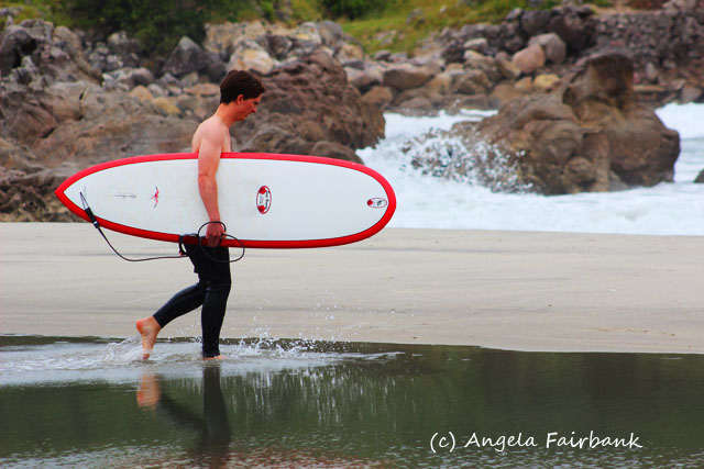 Tauranga, New Zealand, copyright Angela Fairbank