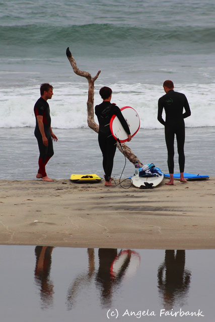 Tauranga, New Zealand, copyright Angela Fairbank