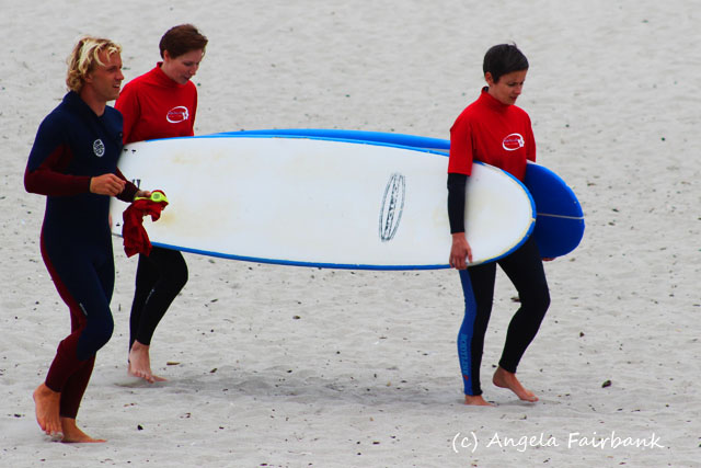 Tauranga, New Zealand, copyright Angela Fairbank