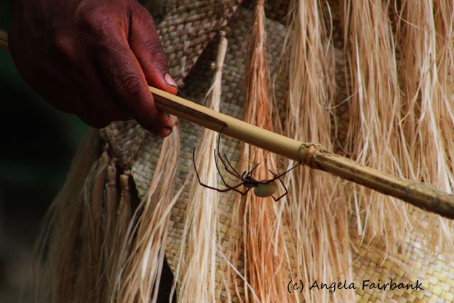 Vila, Vanuatu, copyright Angela Fairbank